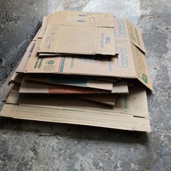Free Boxes