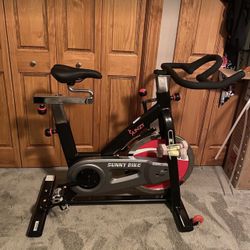 Indoor Bike - Sunny 