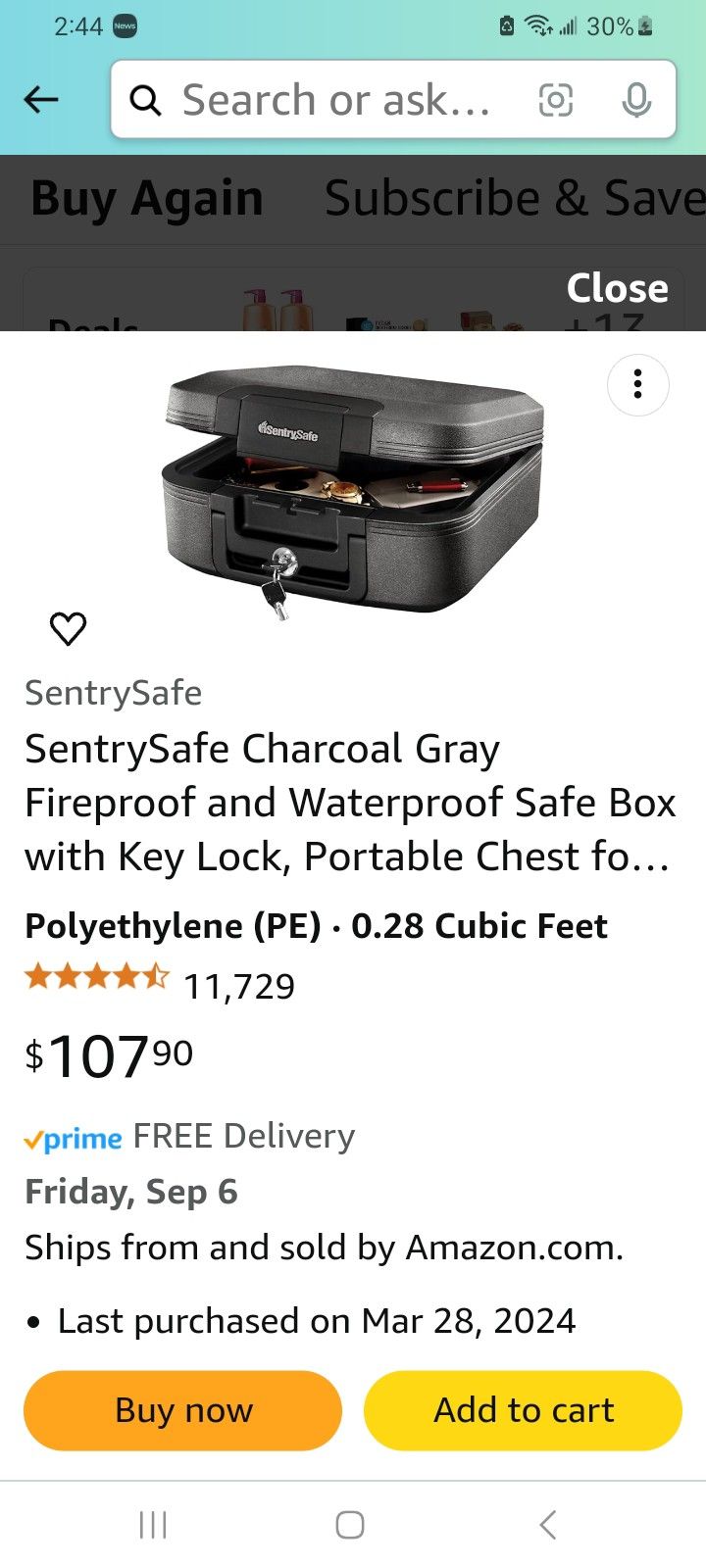 Sentry safe