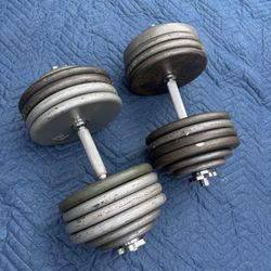 Ajustable Dumbbells 2x100 Lbs 