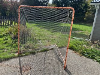 Adult Lacrosse goal $80