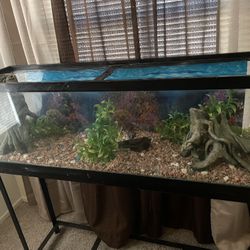 40’ Fish tank W/ Stand 