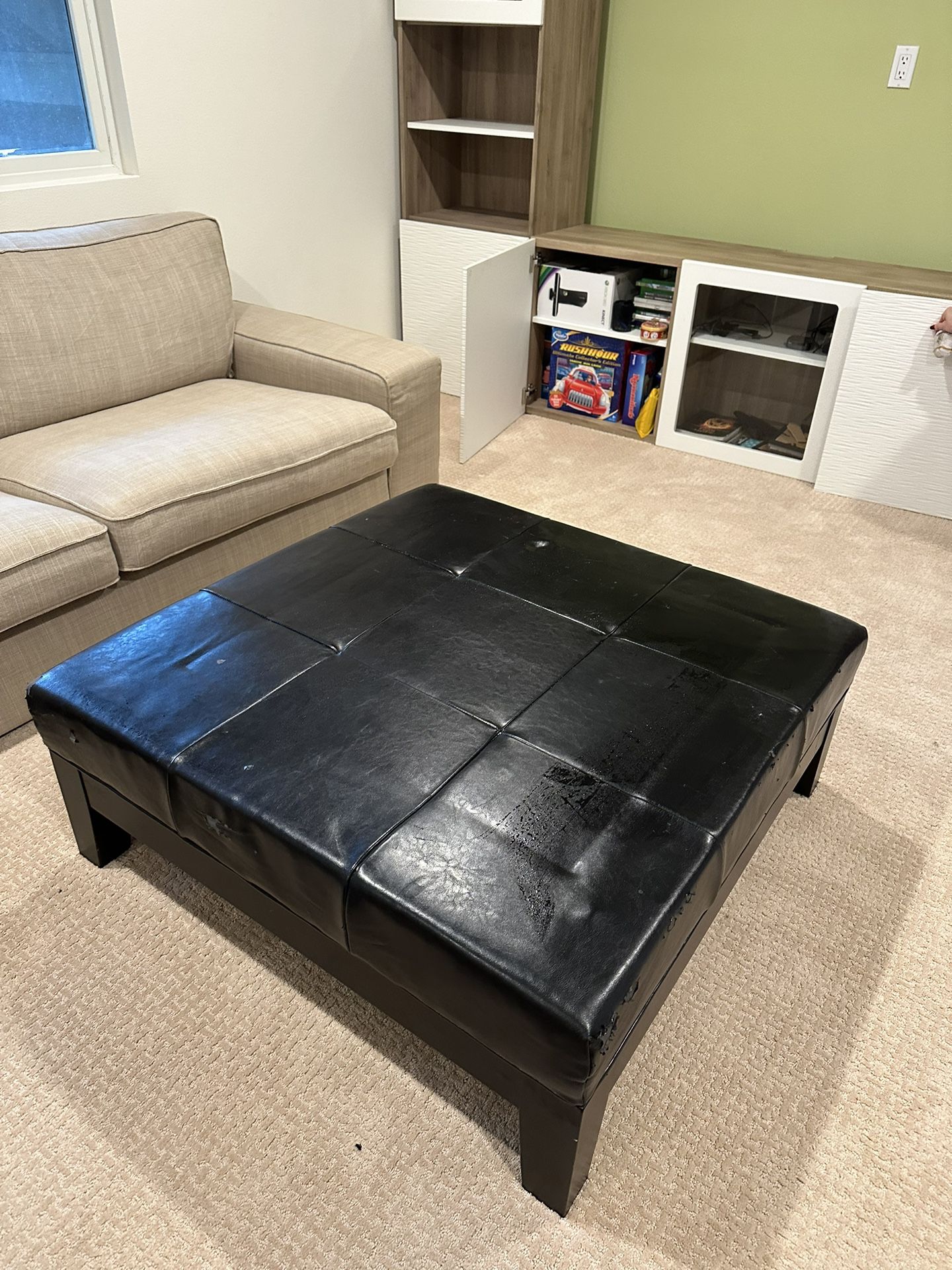 Free Couch Cushion/table