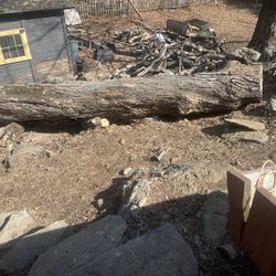 Free Wood 