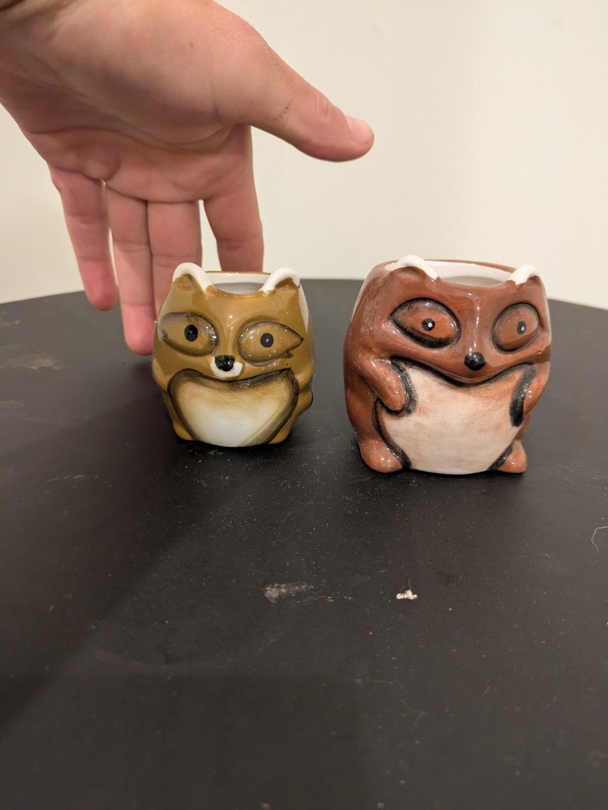 Raccoon Plant Pots For Succulents Or Cactuses