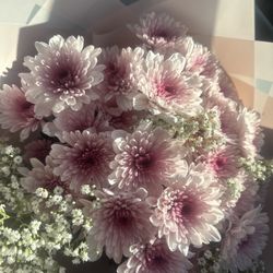 Valentine’s Day Arranged Flowers 