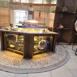 278-Gallon Aquarium + Full Setup Inverted 20 Gallon Tank In Pond Inclued (Filters, Lights, Wave Maker, More!)1900 OBO