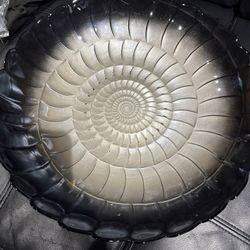 SHELL DECORATIVE BOWL