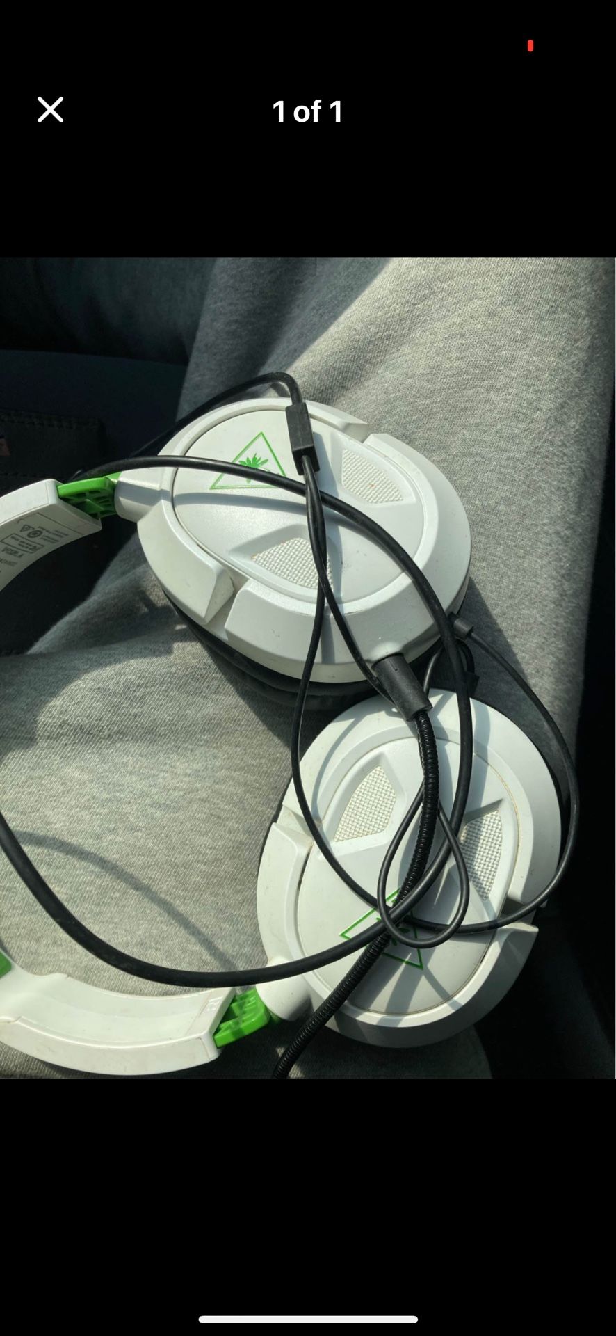 Turtle beaches