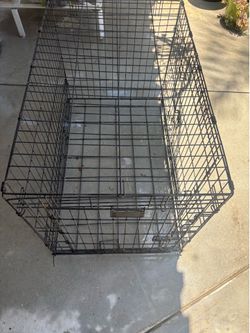 Large dog kennel
