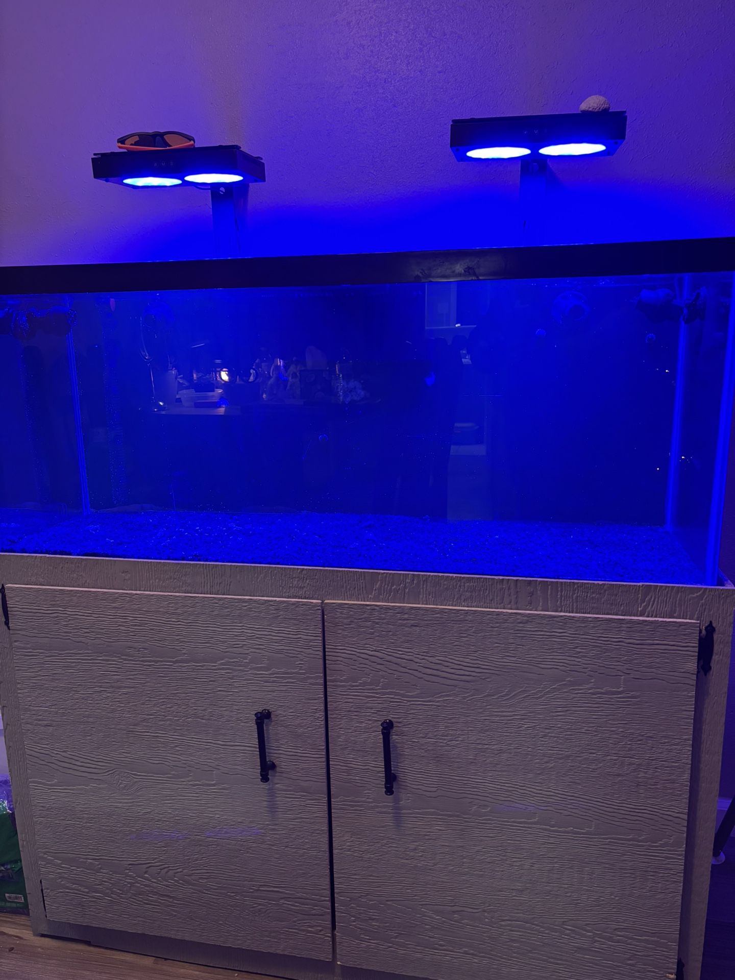 75 Gallon Saltwater Tank