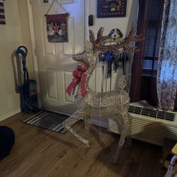 Reindeer
