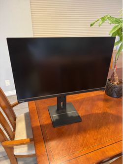 Display monitor
