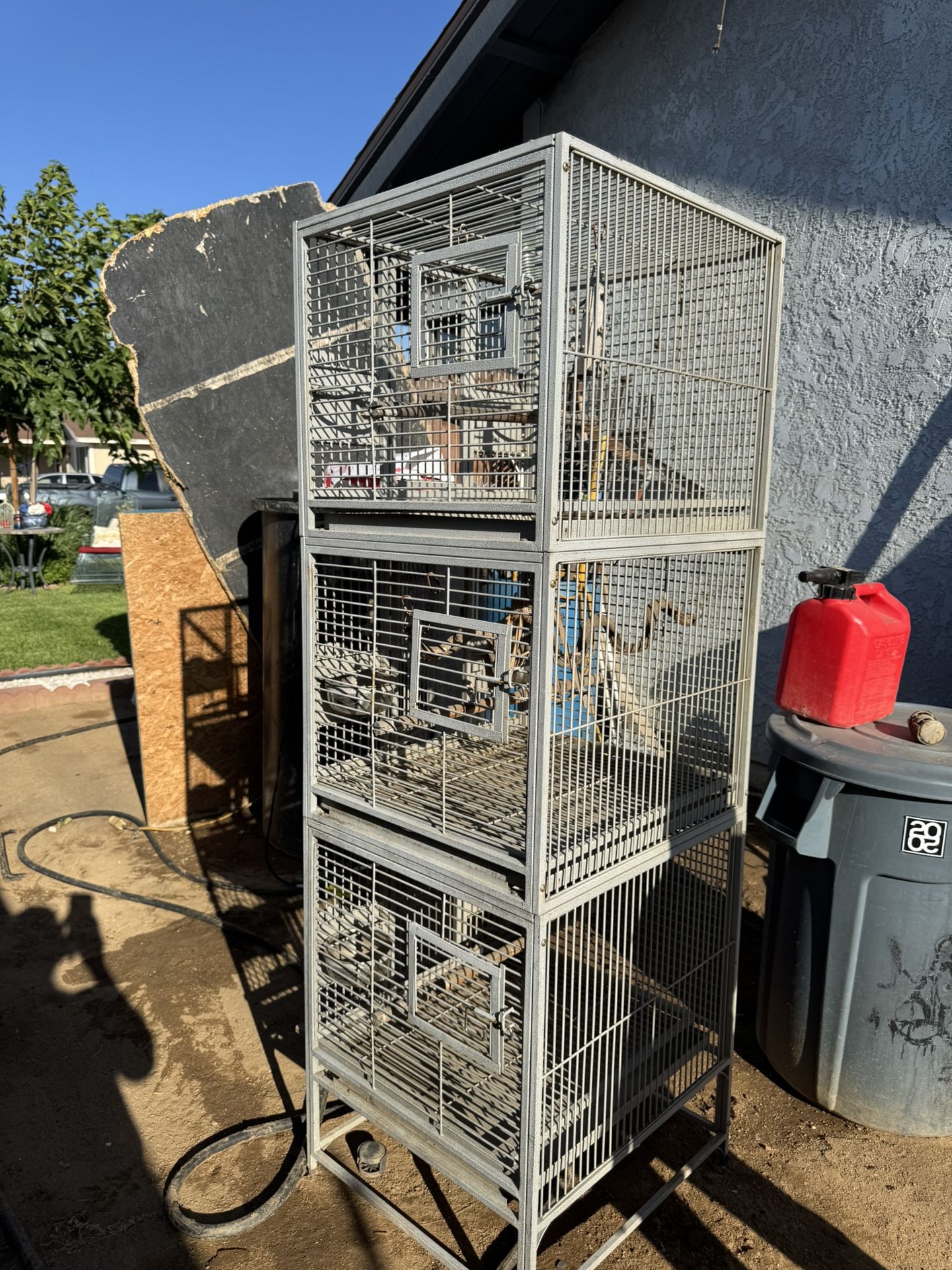 Bird Cage