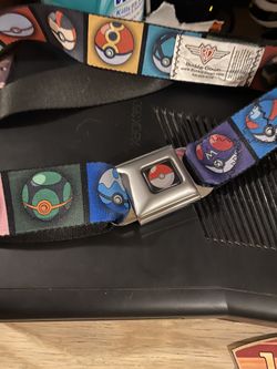 Pokémon Belt 