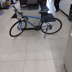 Nishika Bicycle