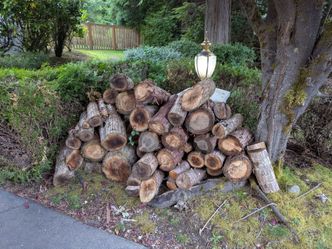 Free firewood. Cut last summer.