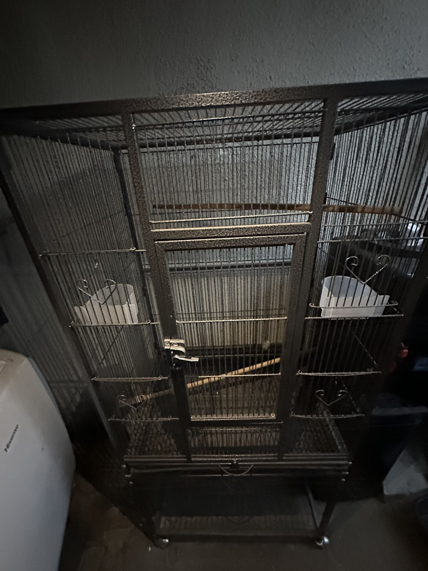 Bird Cage