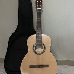 Giannini Guitar  