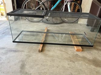 55 gallon tank