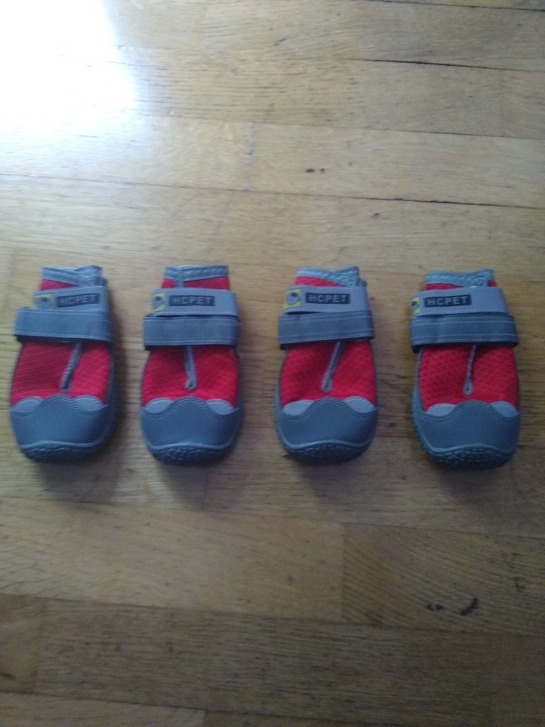 Large Dog Trail Shoes