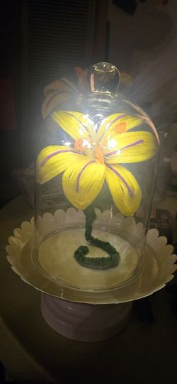 Rapunzel Flowers & Lanterns