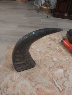 Buffalo Horn