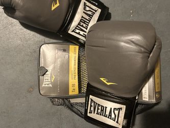 Everlast Prostyle Training Gloves Used