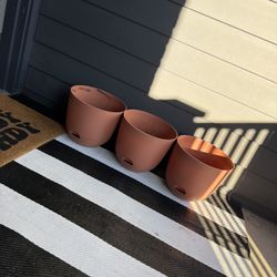 Planters 
