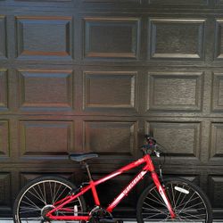 Specialized Hotrock Mountain Kids Bike 24”