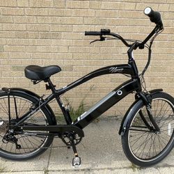Electric Cruiser 