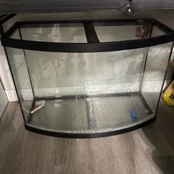 Bow Front Glass Aquarium Fish Tank