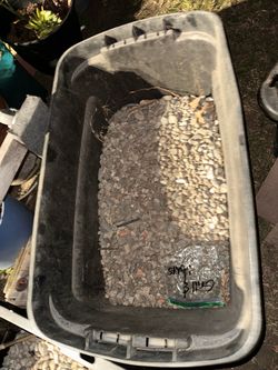 1/2 gravel
