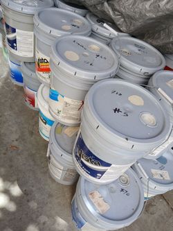 Indoor Paint