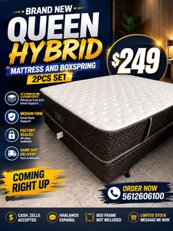 🟢NEW HYBRID SET $249