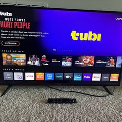 Vizio 40” TV