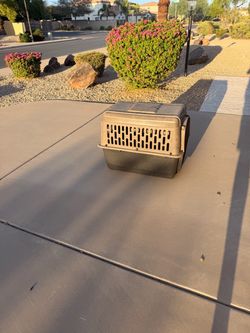 Dog carry crate