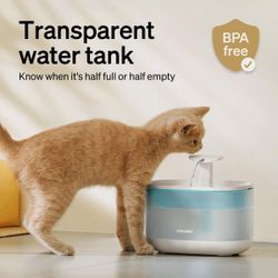 Water Fountain for cats and small dogs.