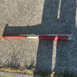 Baseball Bat 