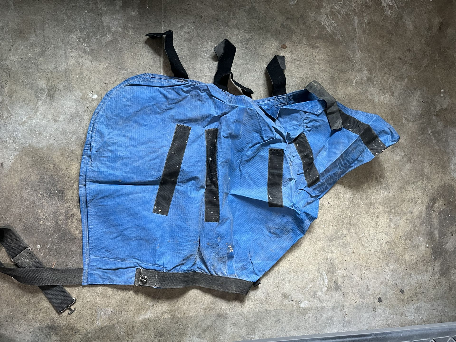Horse Neck Sweats