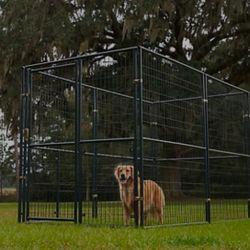 Outdoor Kennel- Retriever 6 ft. x 5 ft. x 10 ft. Lodge Expandable Welded Wire Dog Kennel