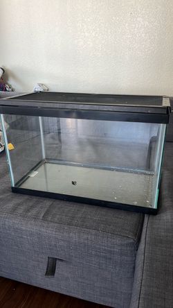 Glass Reptile tank