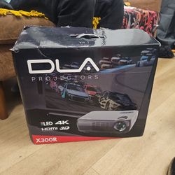 D l a home projector system