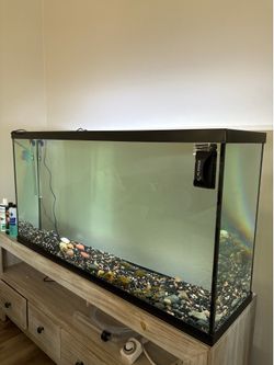 60 Gal Fish Tank/ Aquarium