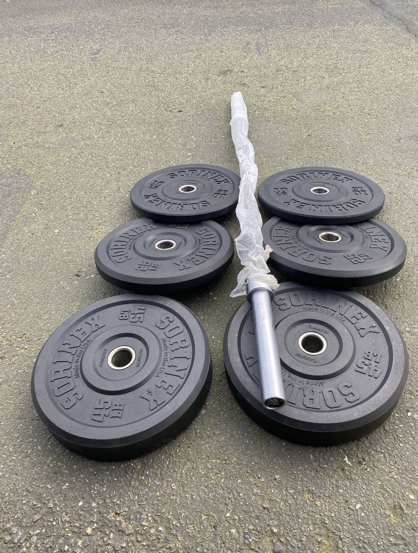 Bumper Weights And Short Barbell 