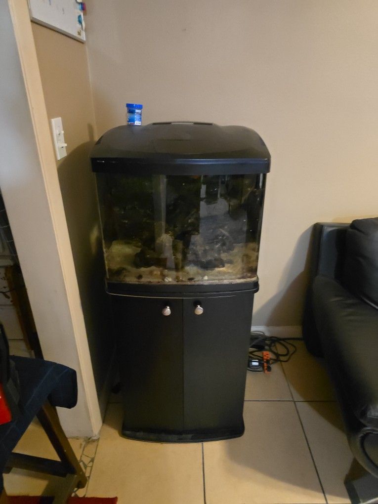 Biocube 28 Saltwater Tank
