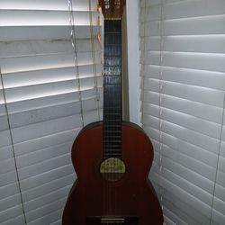 Suski Violin Guitar 