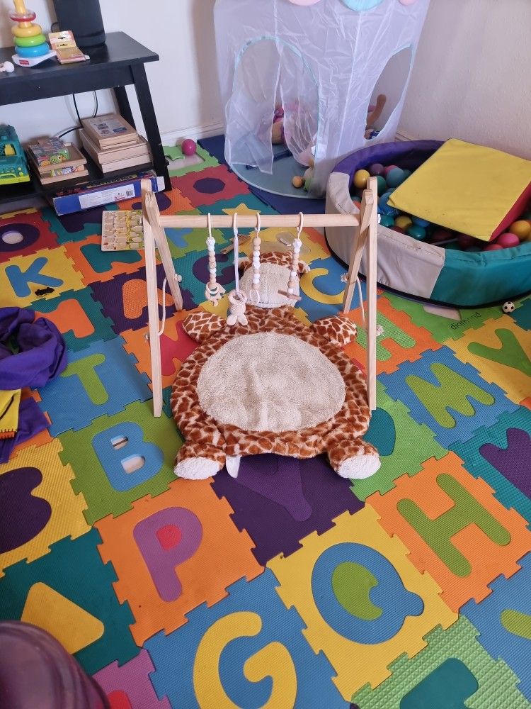 Baby Play Gym And Rug