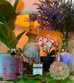 Perfumes Collection