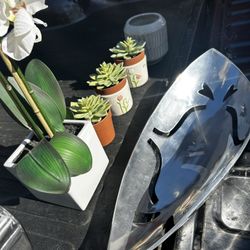 Staging Plants And More Items ALL TOGETHER